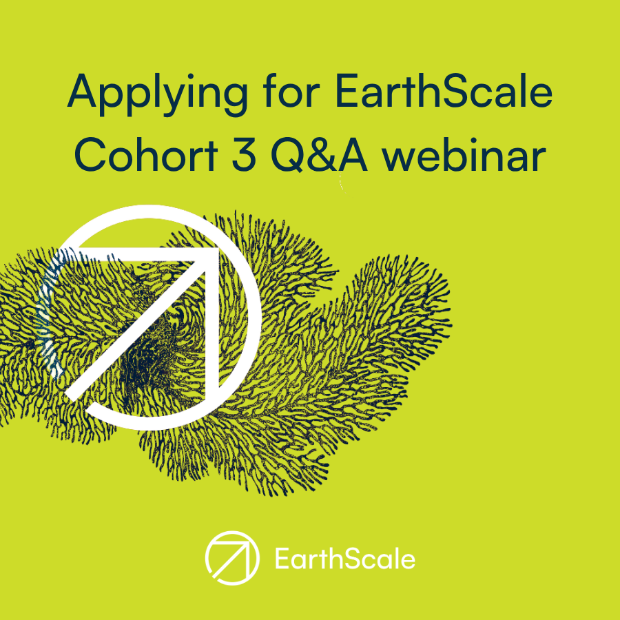 Earthscale_Newsletter_600x600