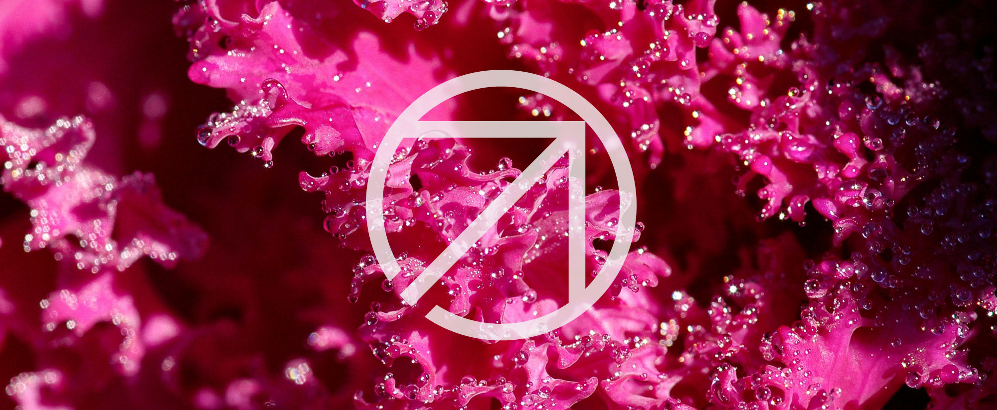 banner3