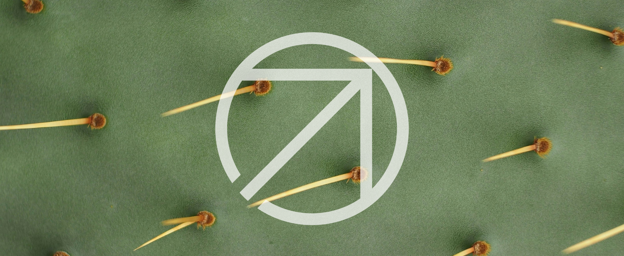 Cactus image with EarthScale logo overlayed