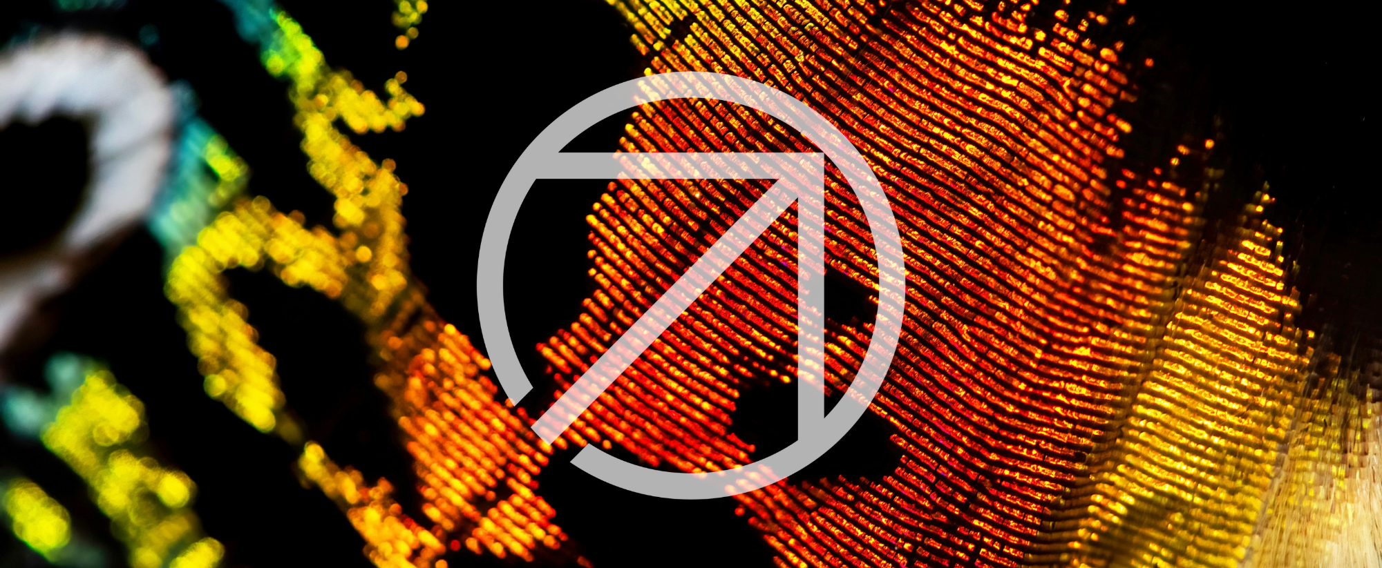 Banner with water bubbles on a glass surface with EarthScale logo overlaid